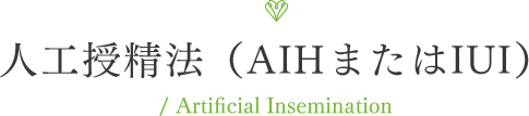人工授精法（AIHまたはIUI）/ Artificial Insemination